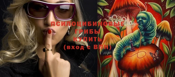 spice Алзамай