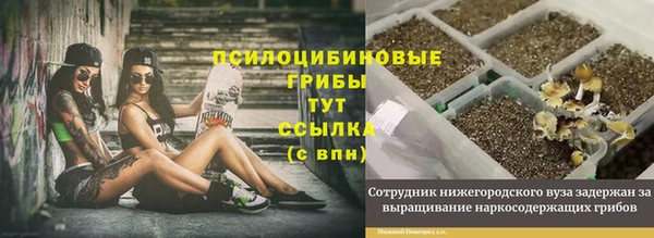 дмт Алексеевка