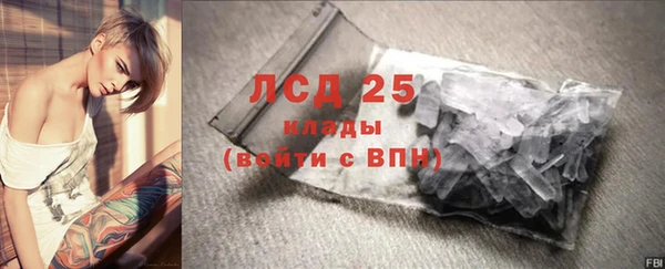 стаф Алексин