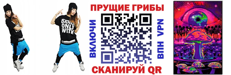 Галлюциногенные грибы Psilocybine cubensis  Алексин 